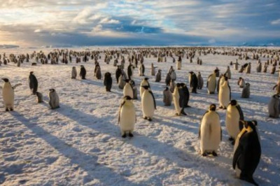 Penguenler ve Balinalar İçin İyi Haber: Antarktika Ross Denizi, Dünyanın En Büyük Deniz Rezervi Oldu!