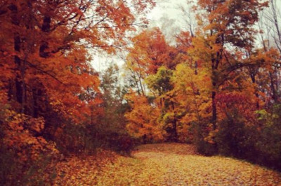 Sonbahar Hakkında Bilmediğiniz 5 Eğlenceli Gerçek