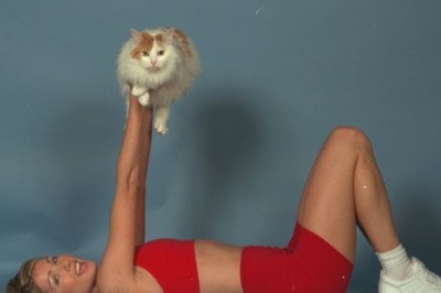 İş Başındaki Kediler