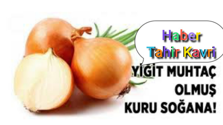 Yikit muhtaç kuru soğana