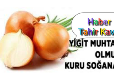 Yikit muhtaç kuru soğana