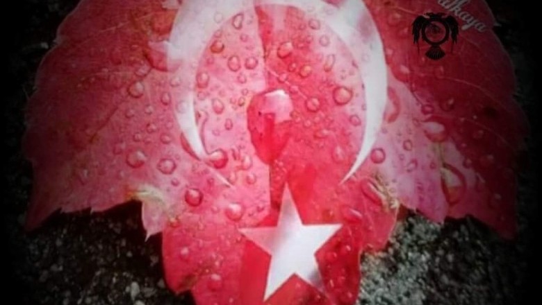 ZALİMLER KAZANIR, GARİPLER ÖLÜR