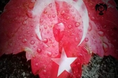 ZALİMLER KAZANIR, GARİPLER ÖLÜR